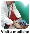 Visite mediche